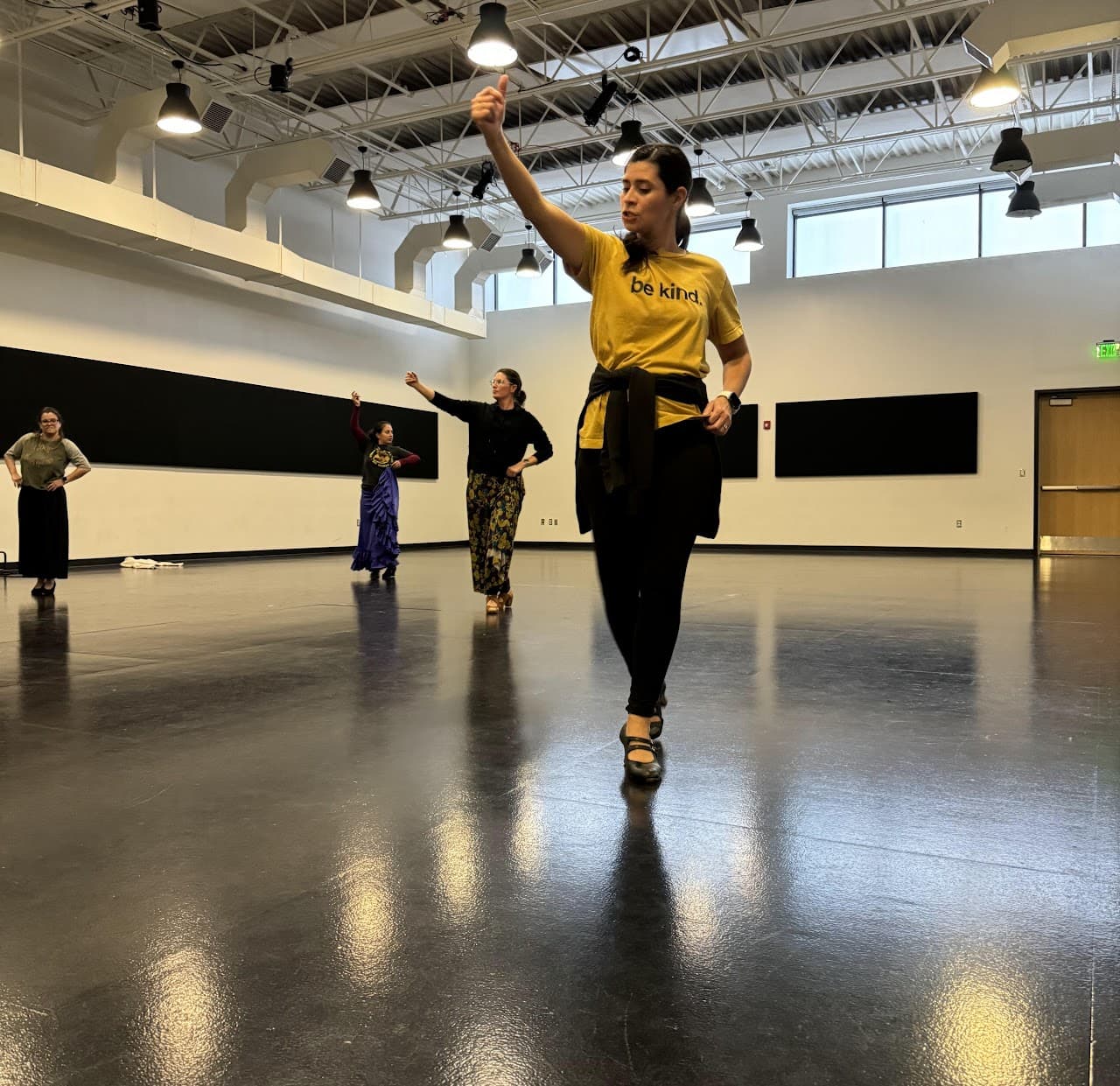 Flamenco Class Picture 2