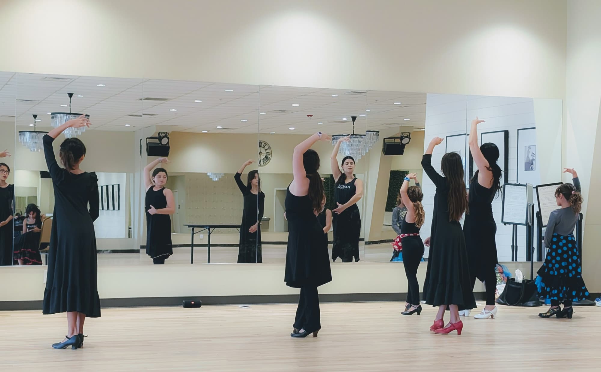 Flamenco Class Picture 2